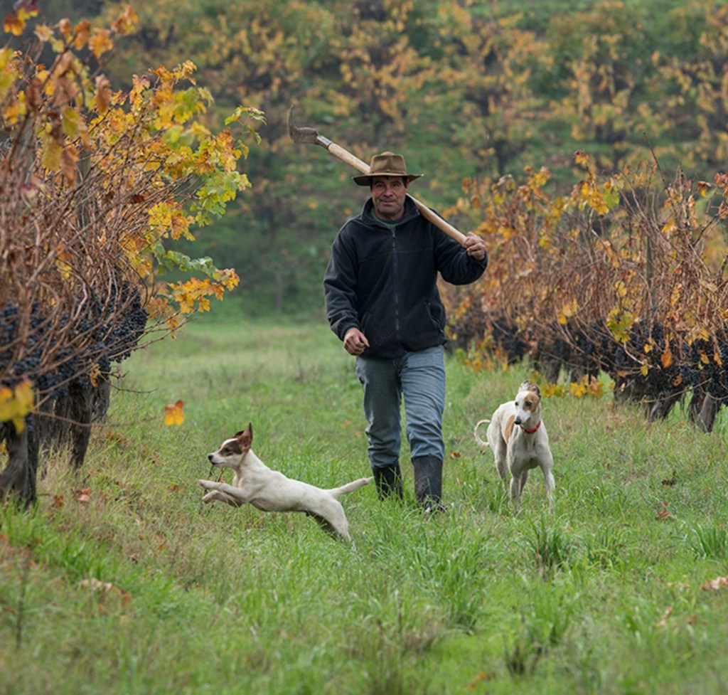Besøk et lite stykke Norge i vinlandet&nbsp;Chile